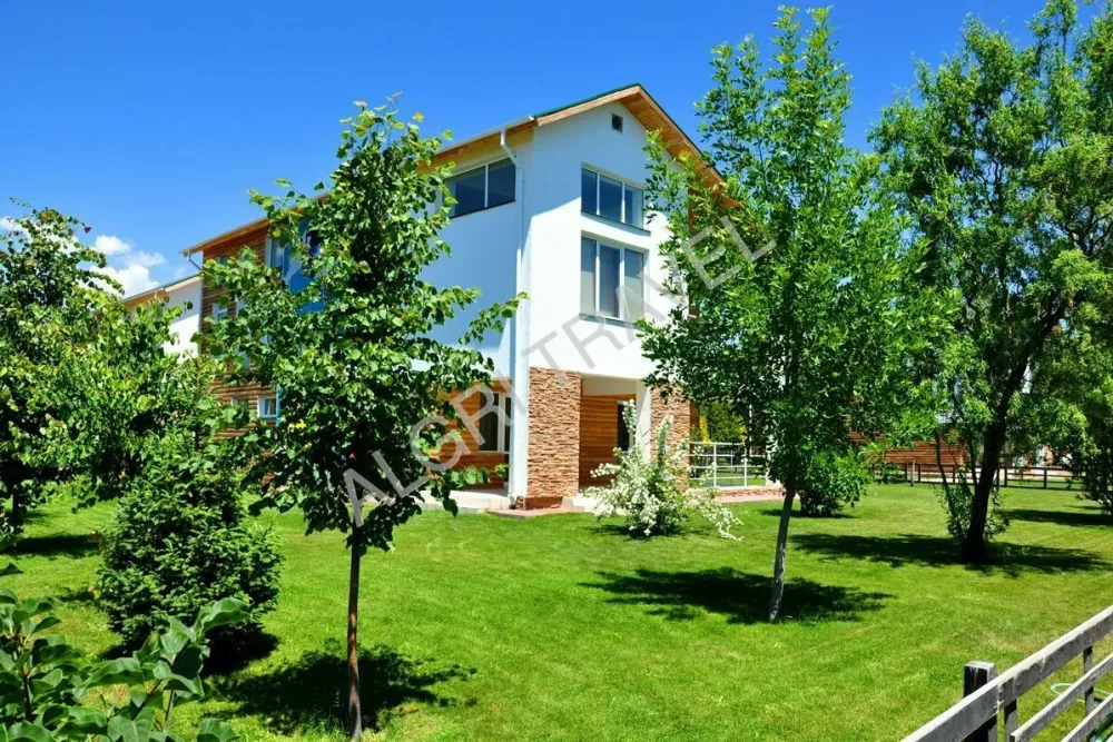 Деревья и газон