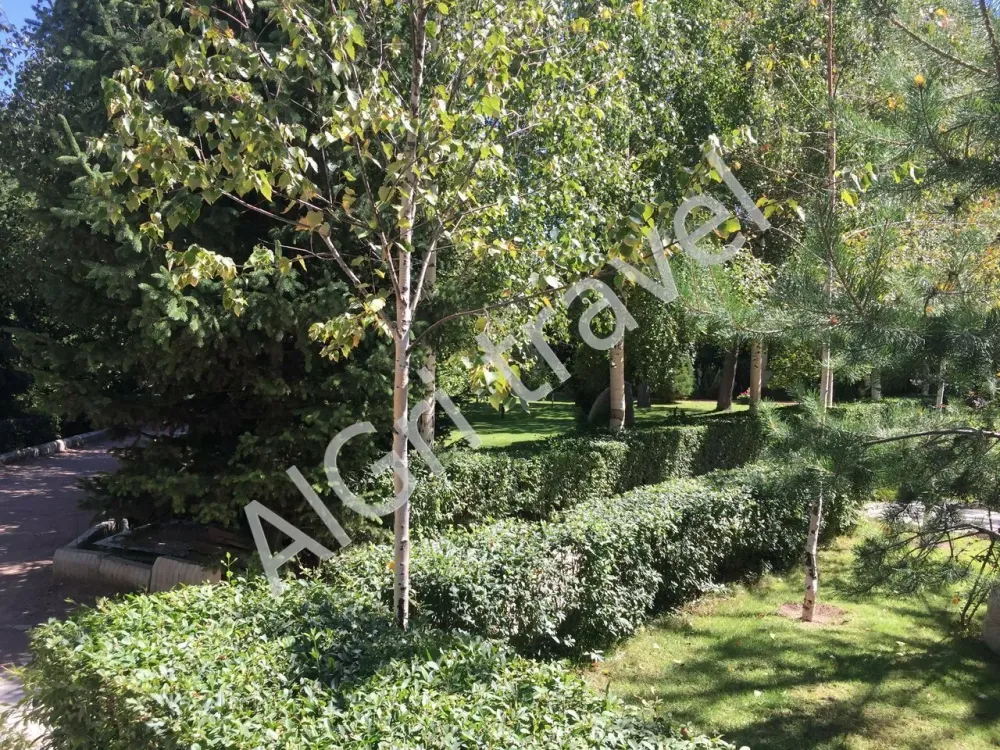 Территория и прогулочные дорожки