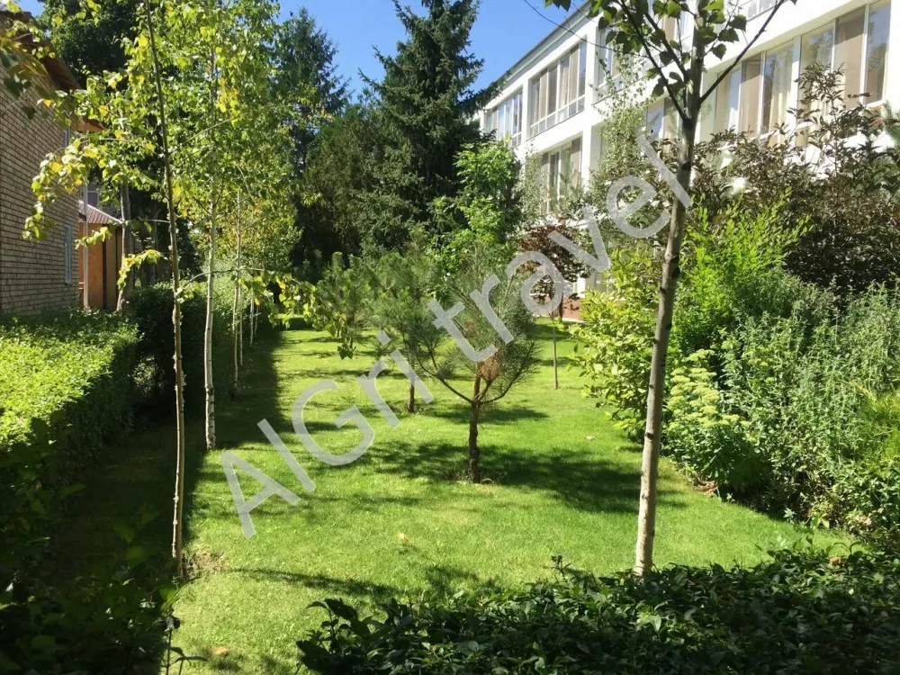 Очень зелёная территория