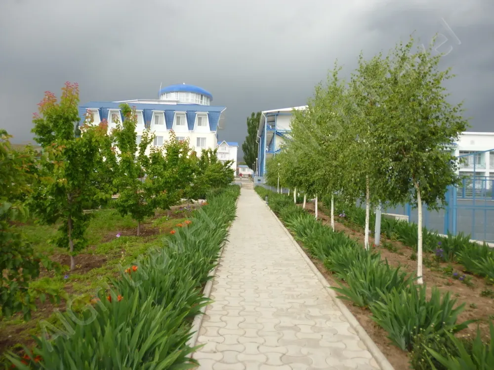 Аллея от пляжа к корпусам