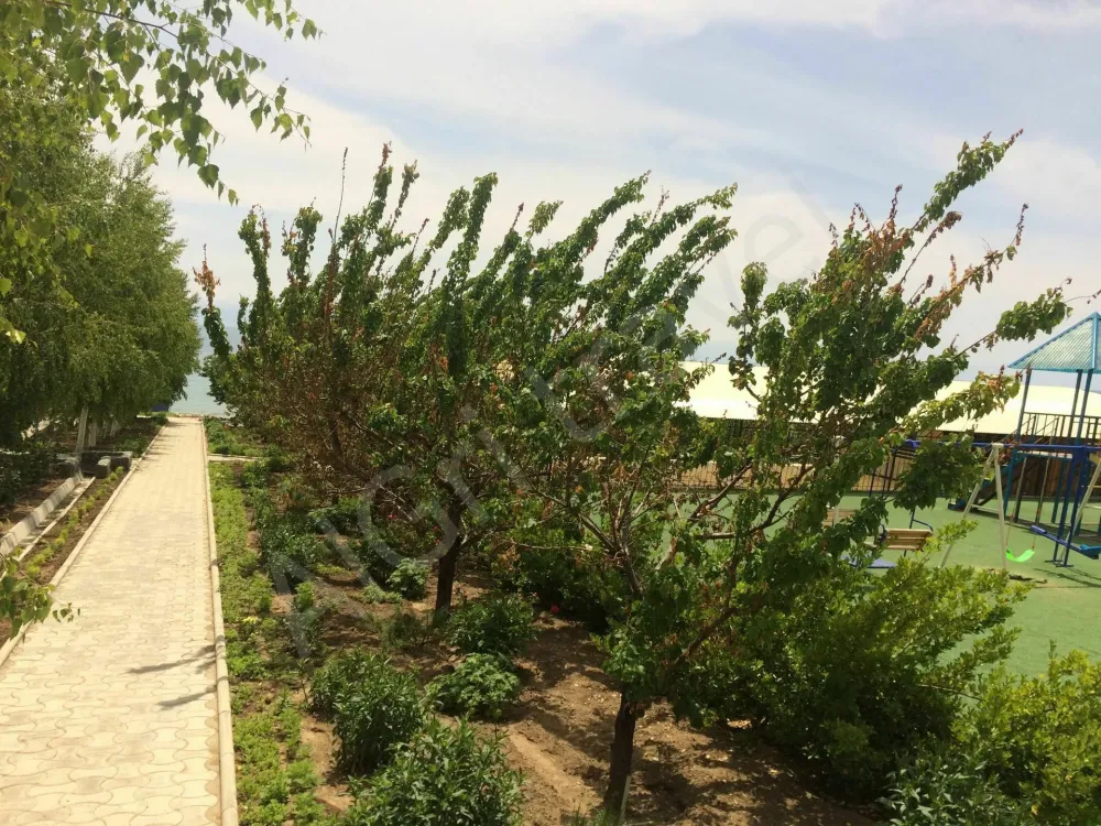 Озелененная территория