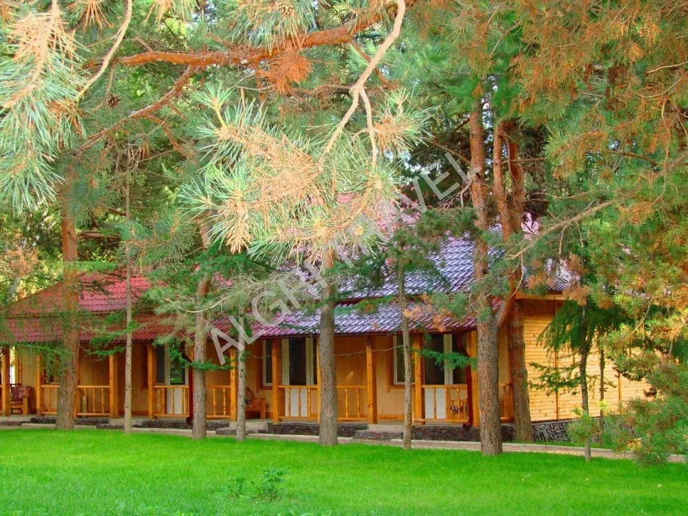 Озелененная территория