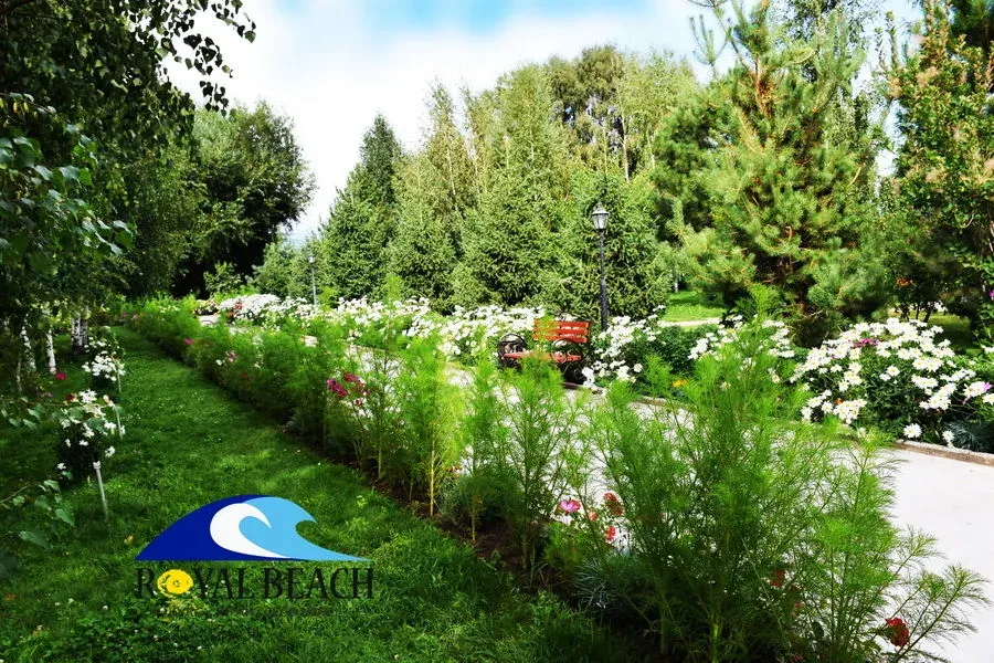 Прогулочная аллея вдоль хвойников