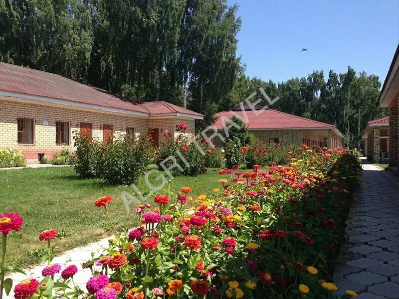 Цветы и газоны везде