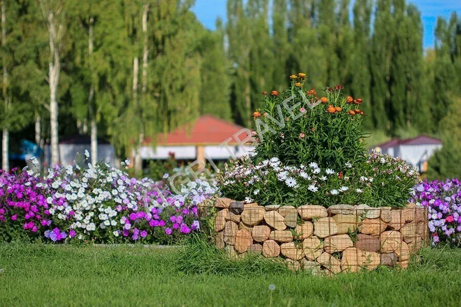 Зеленая территория