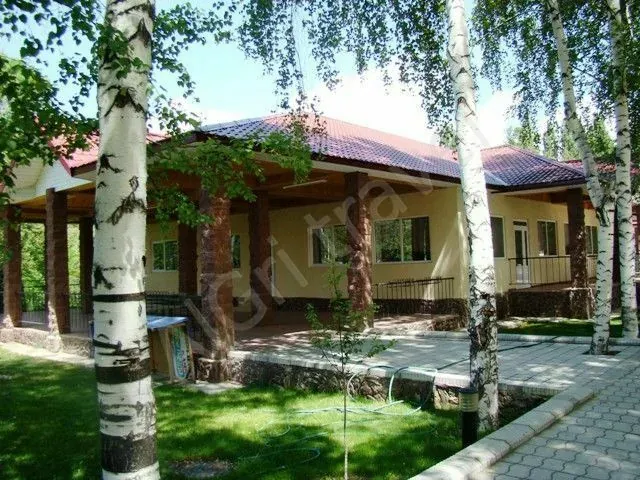 Коттеджи в окружении деревьев