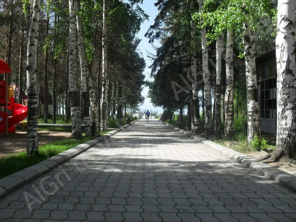 Тенистая аллея к берегу озера