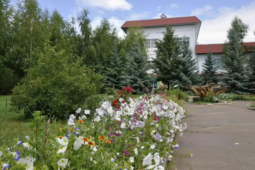 Повсюду цветы и деревья