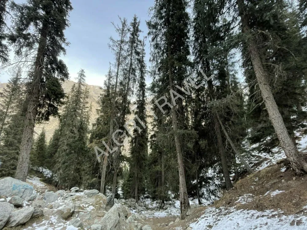 Барскоонское ущелье