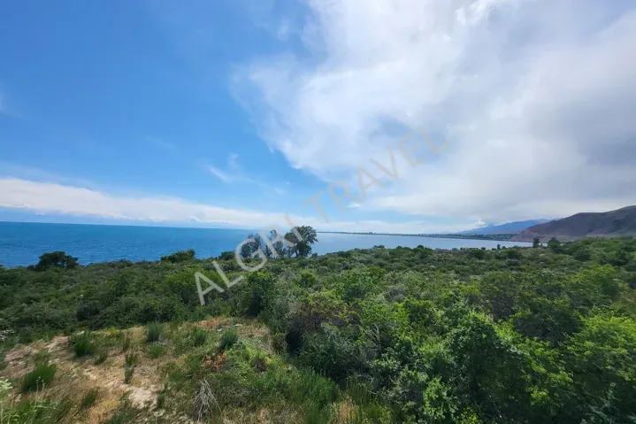 Изображение слайдера