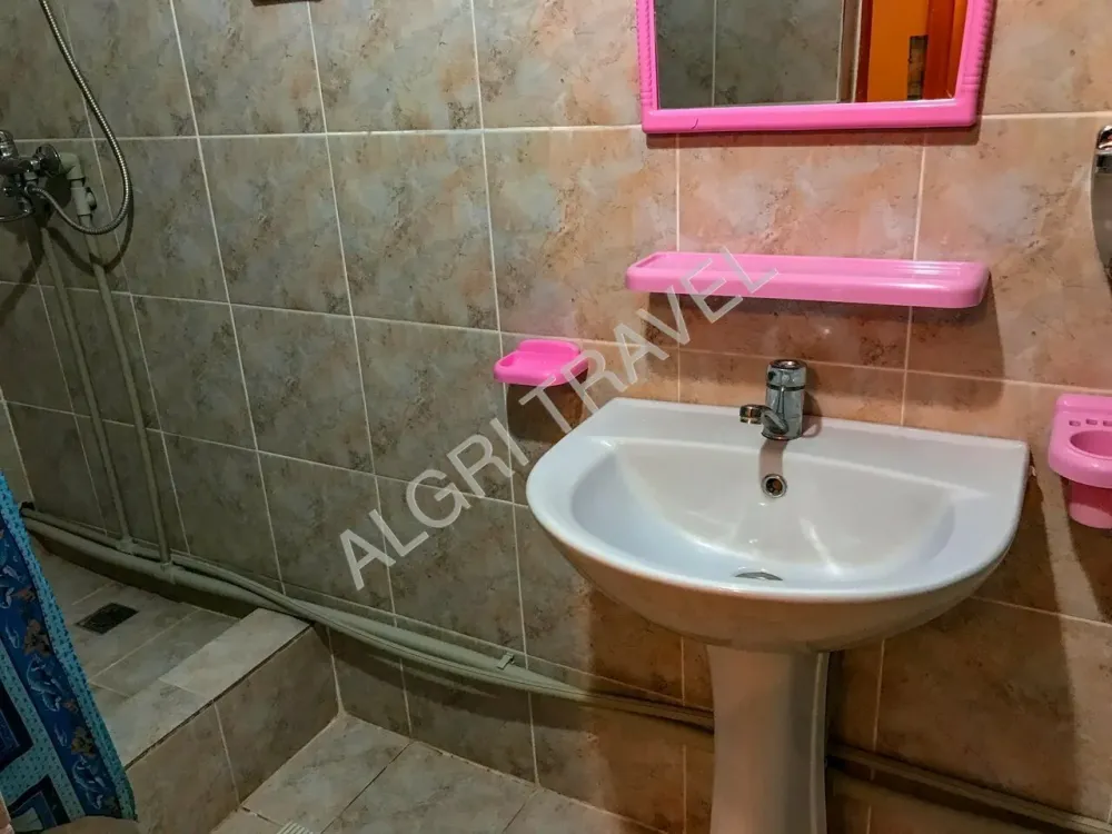 2 местный Оазис