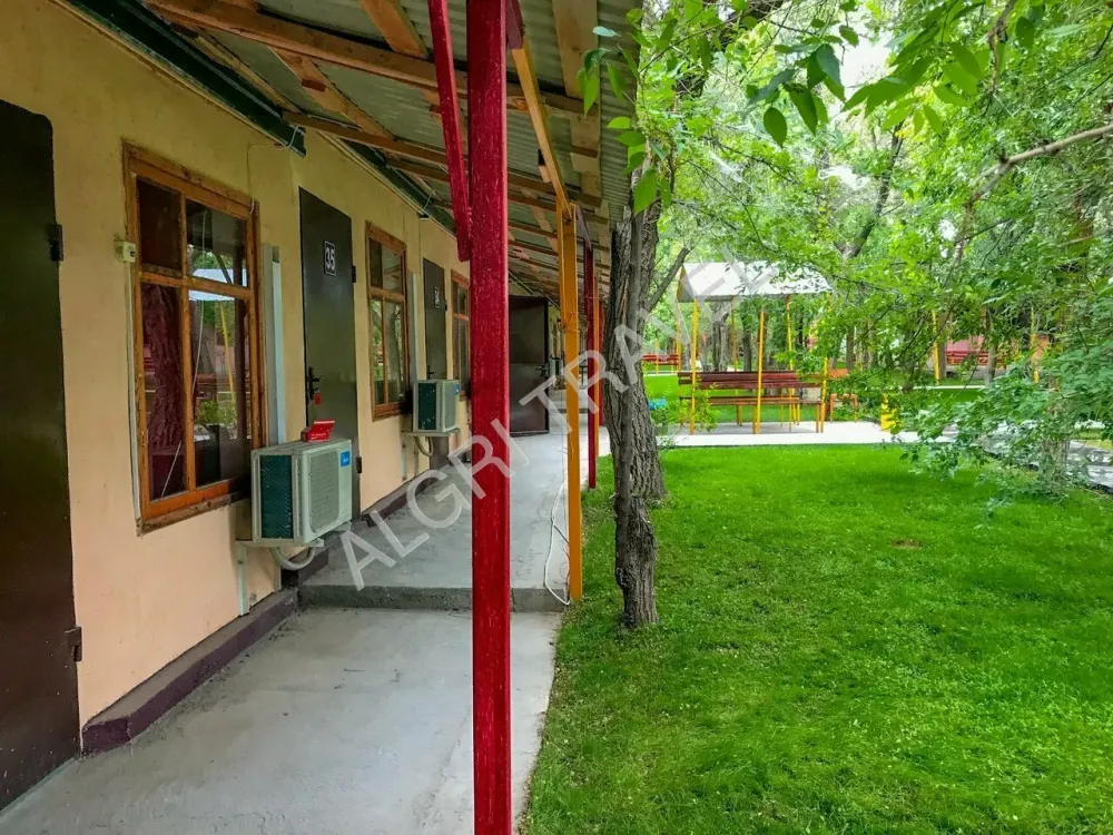 3 местный Оазис