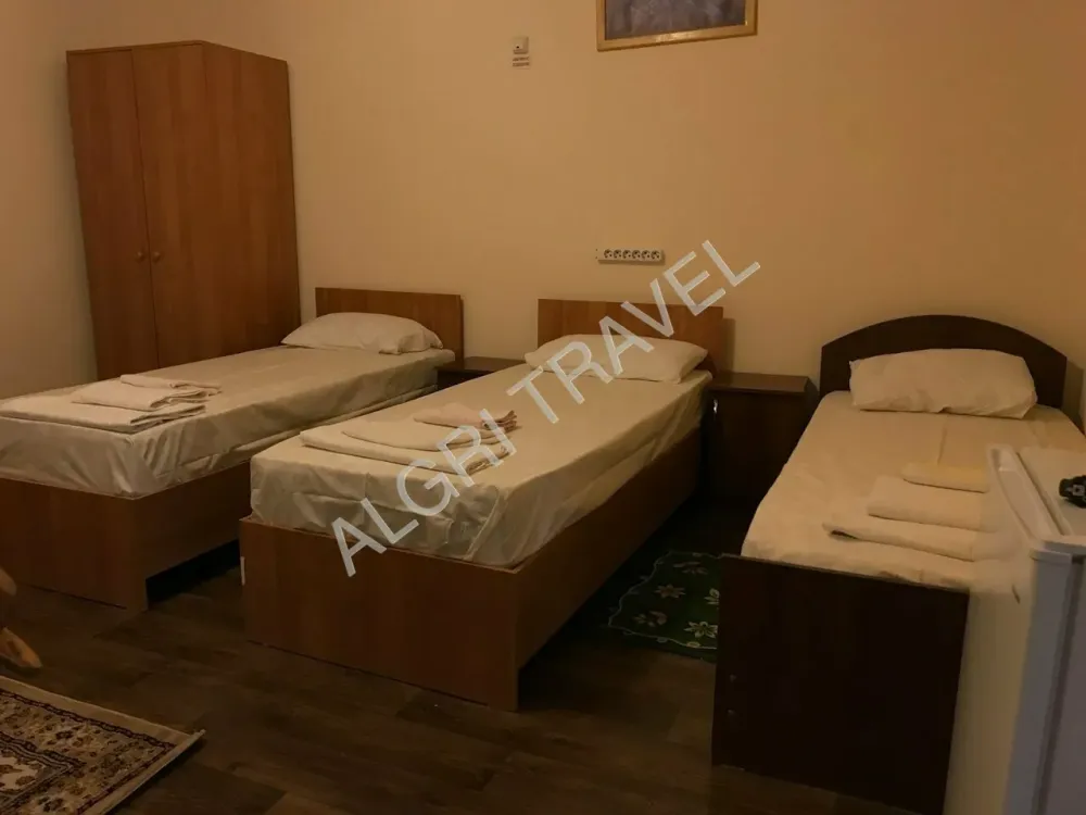 6 местный Оазис