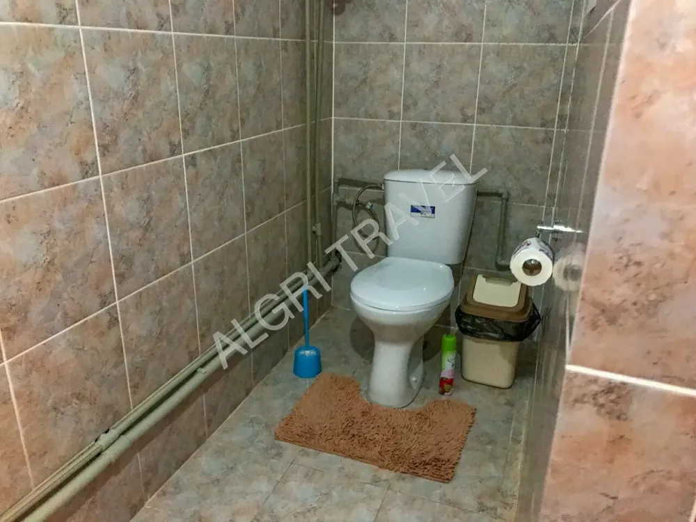 6 местный Оазис