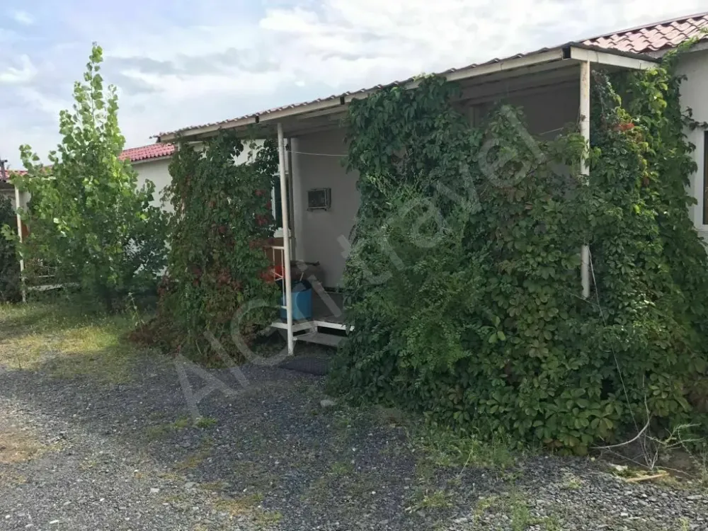 Эконом 2 местный Аласу