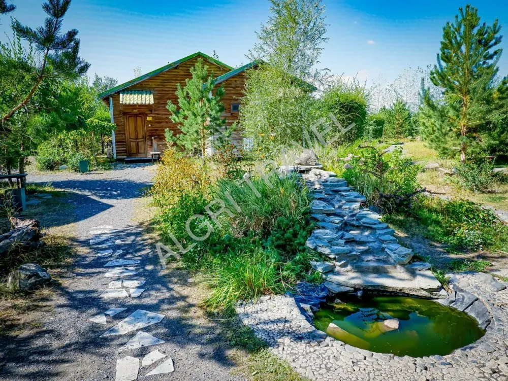 Стандарт 4 местный, ЦСО Пеликан