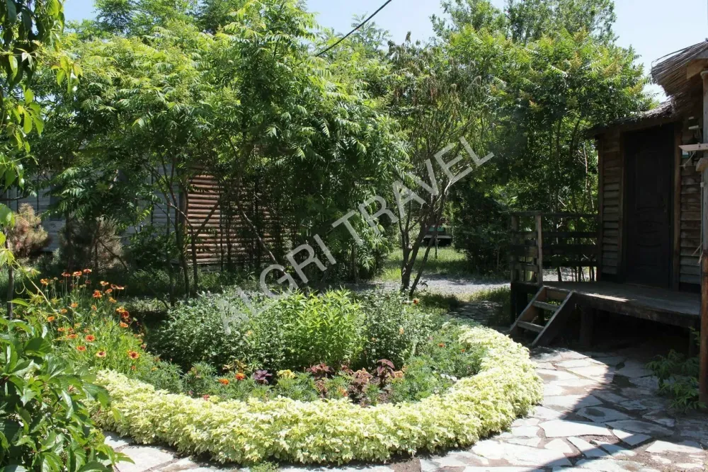 Люкс бунгало 2 местный в ЦСО Пеликан Алаколь