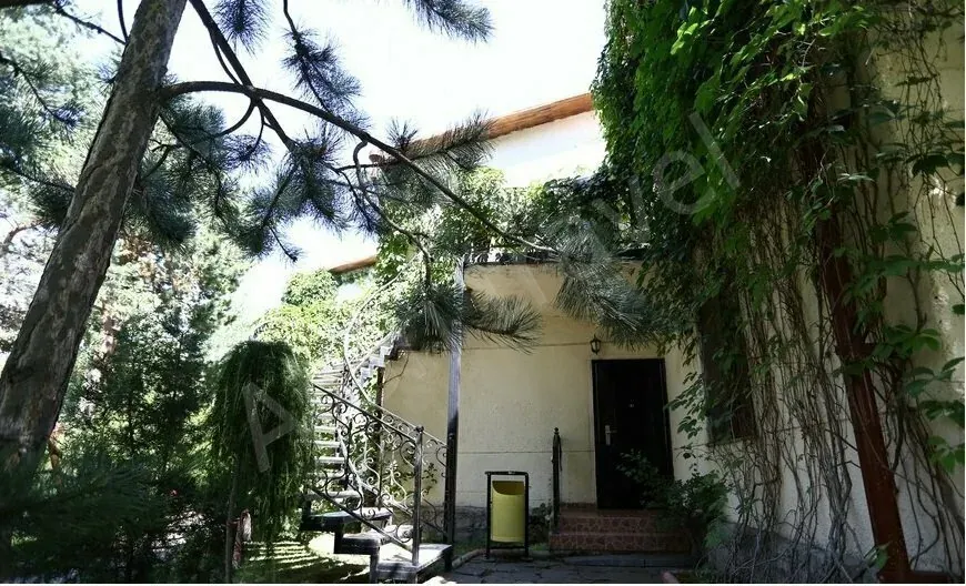 Люкс 3 местный в Мурке