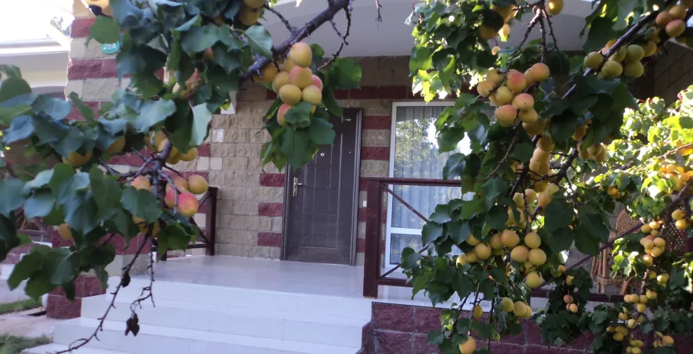 Домики Орион 2 местные