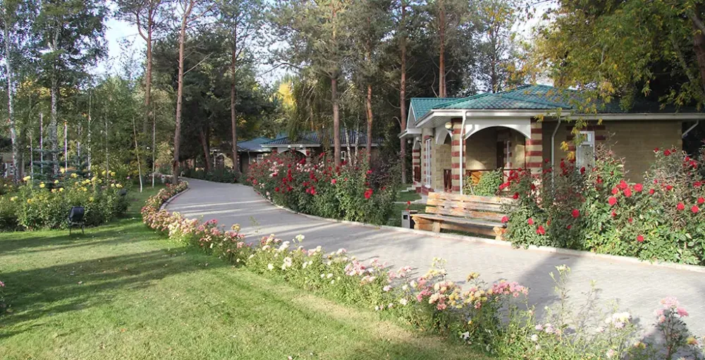 Территория коттеджей Пальмира — аллея и сад