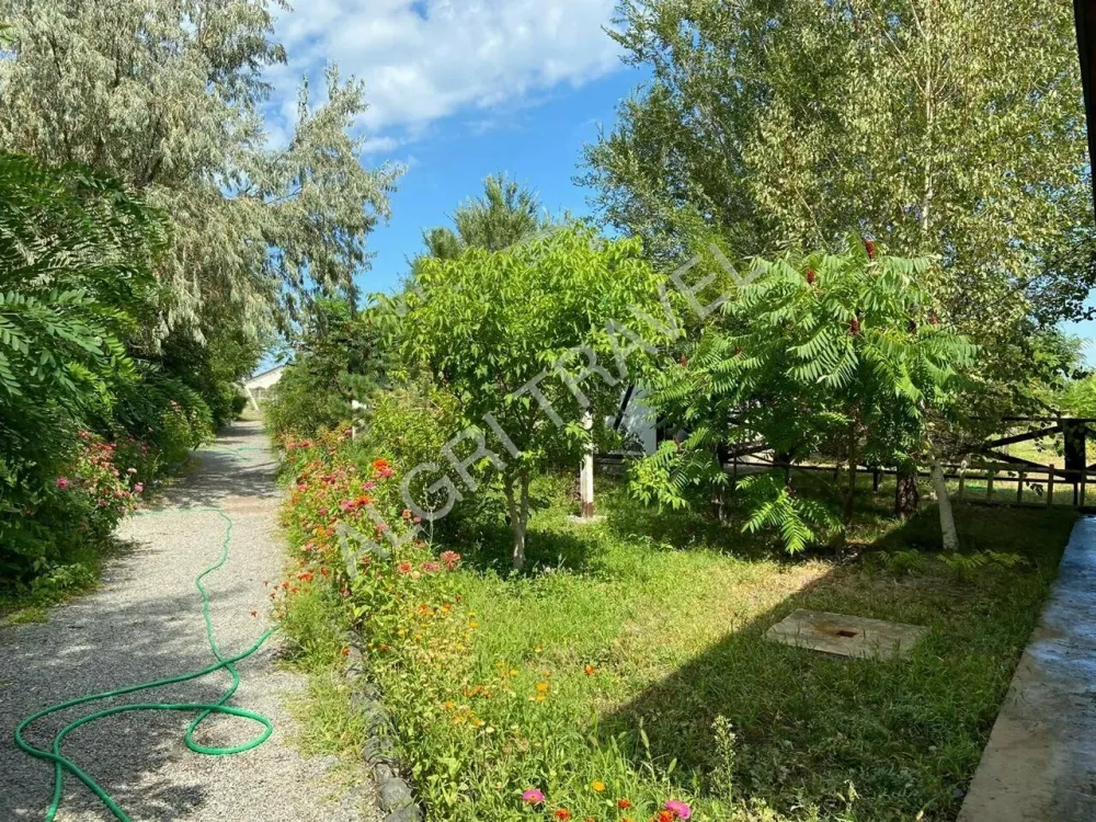 Терраса 3 местных номеров