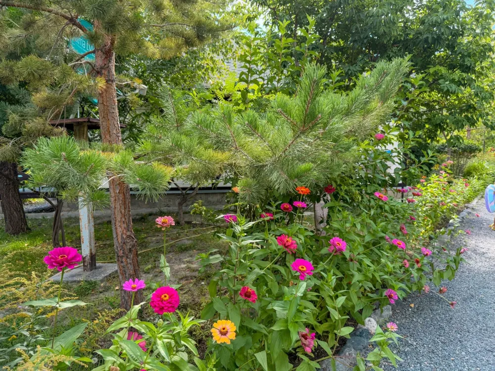 Территория с цветами