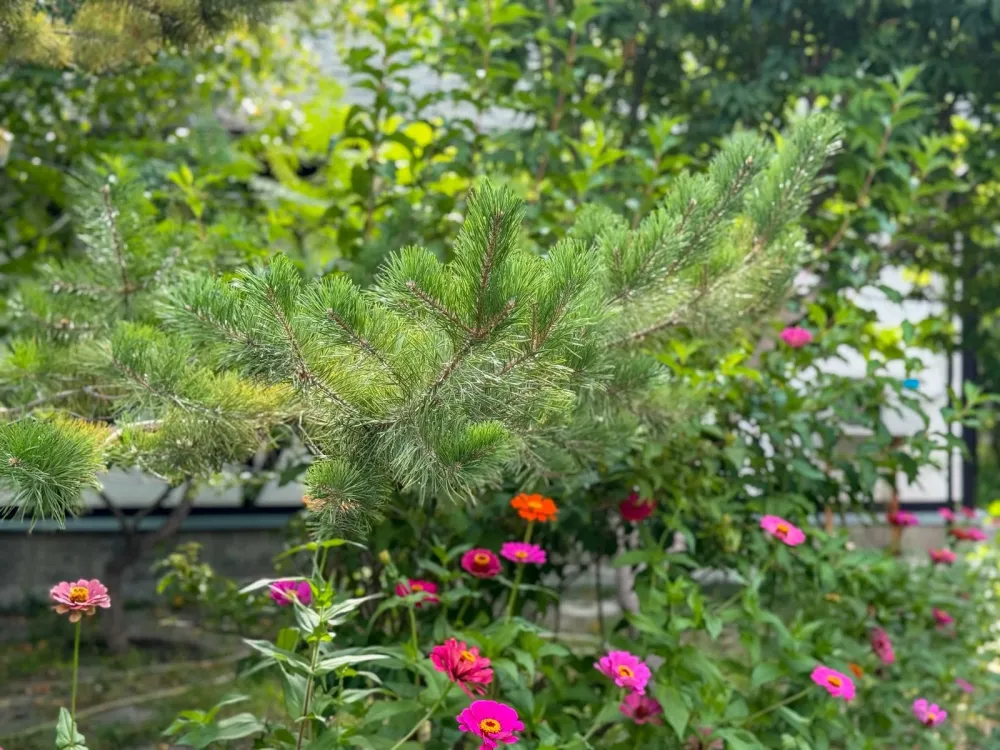 Изображение слайдера