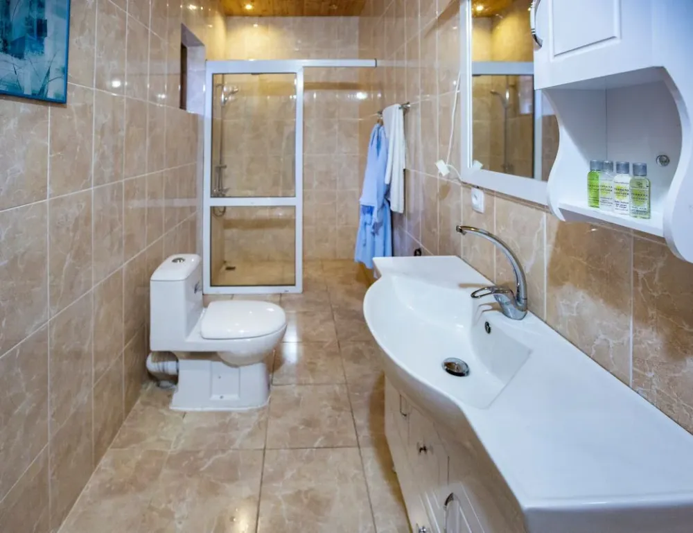 санузел и душ в номере Делюкс 4 местный центра отдыха Солемар