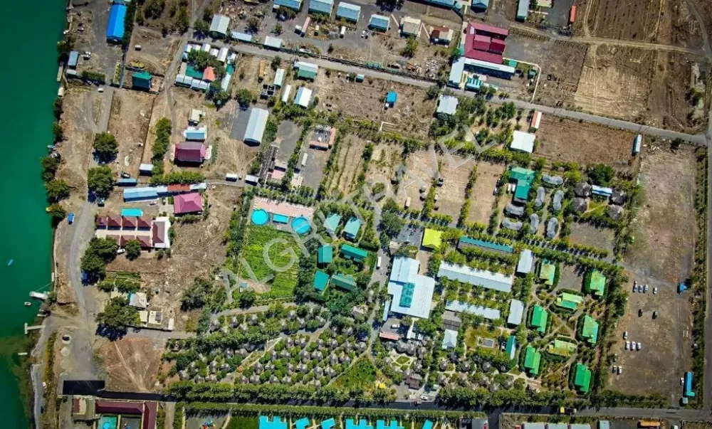 Пеликан вид сверху