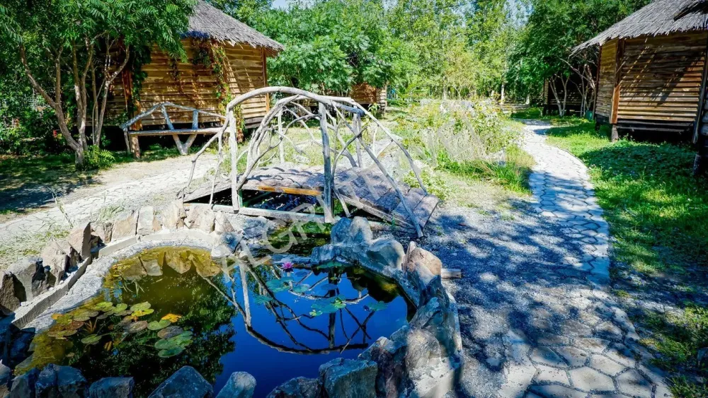 Территория