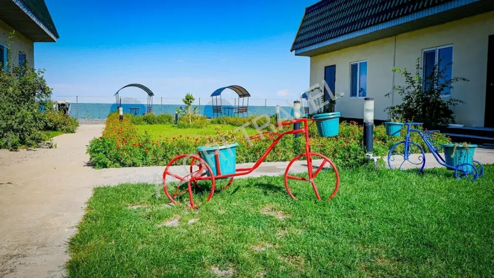 Территория