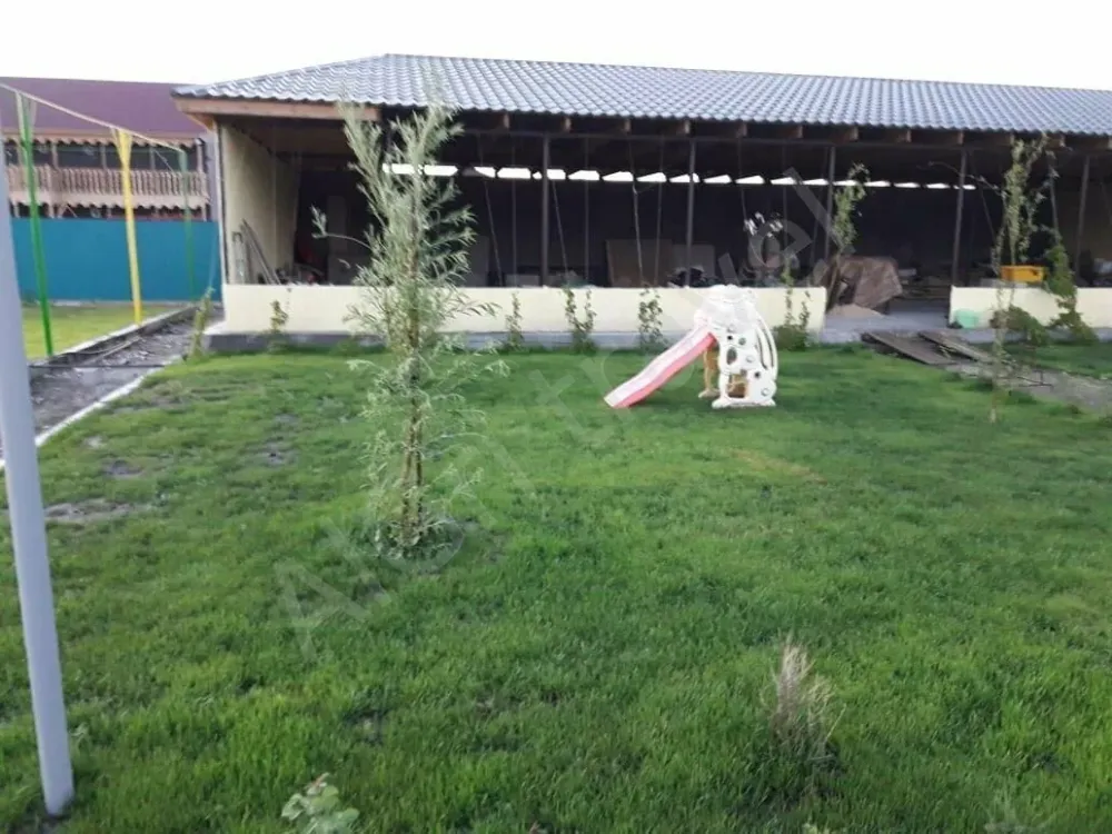 Ориент Алаколь