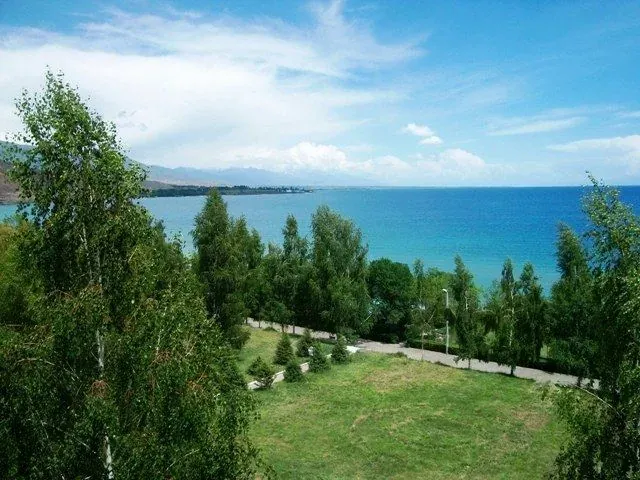 Вид озелененной территории