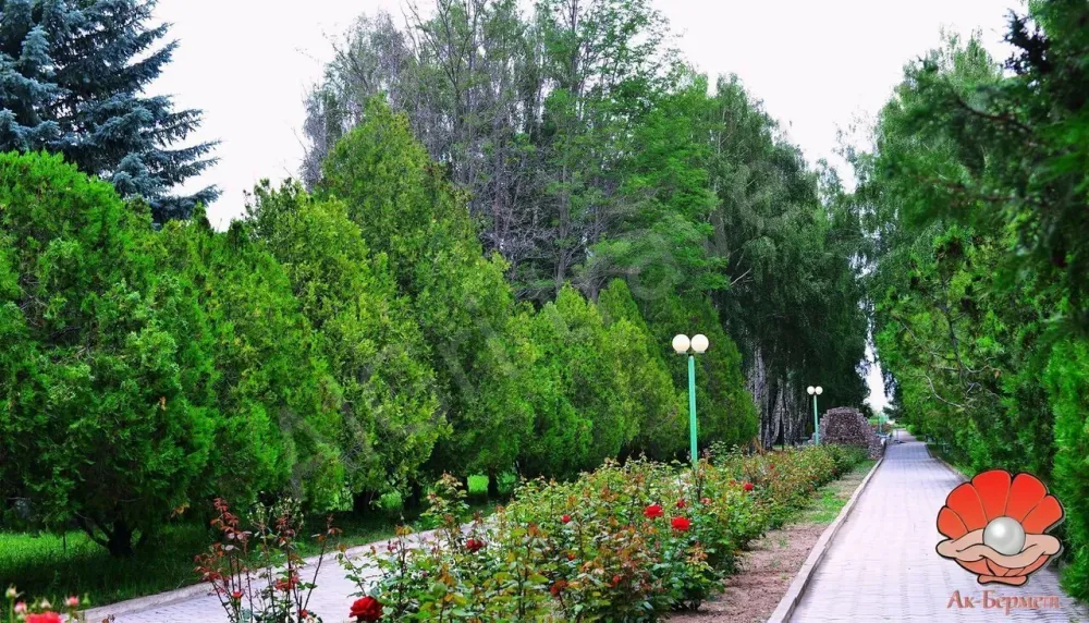 Прогулочная зона к пляжу