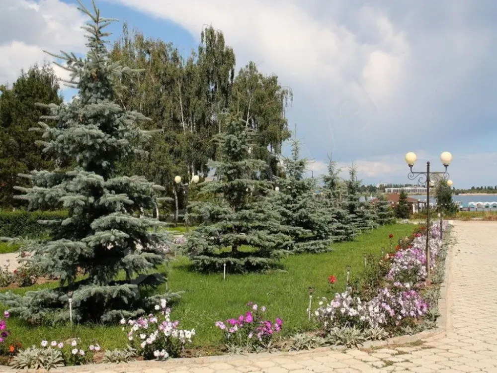 Дорога к пляжу