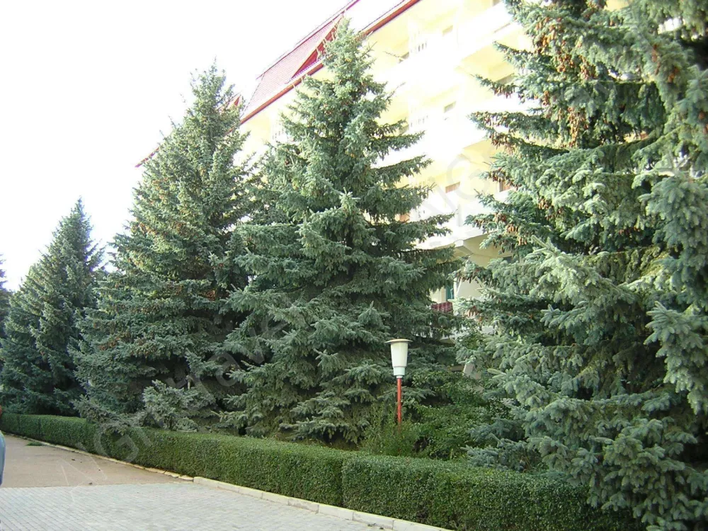 Территория