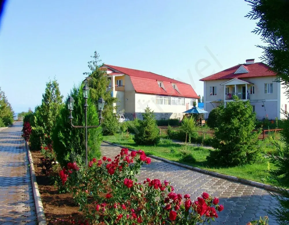 Озелененная территория