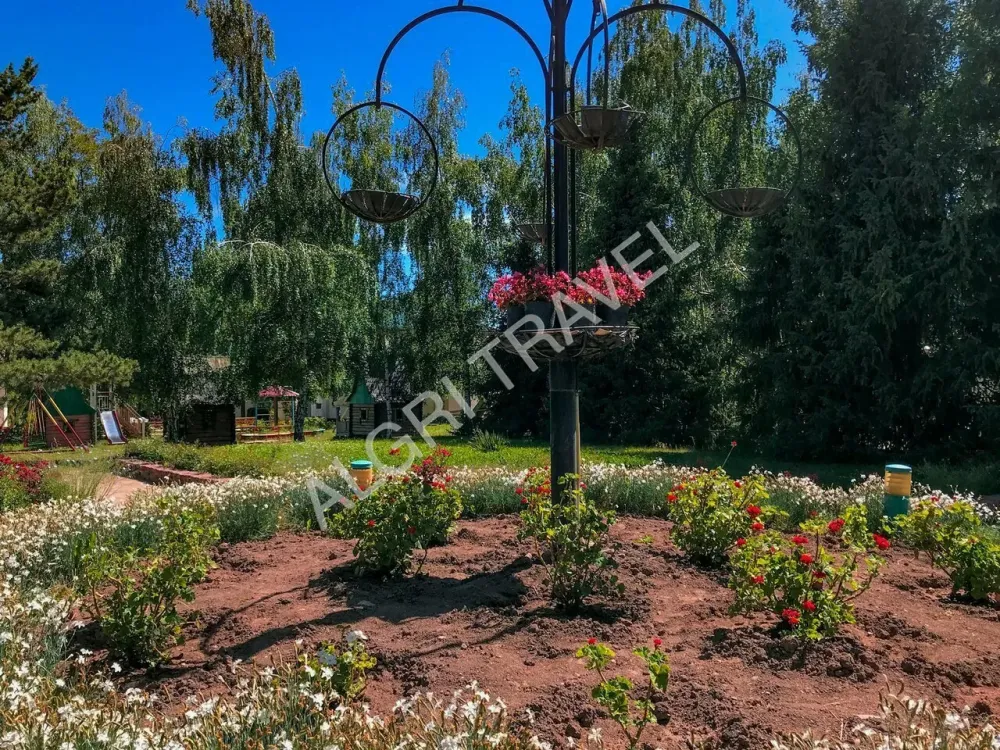 Буйство зелени