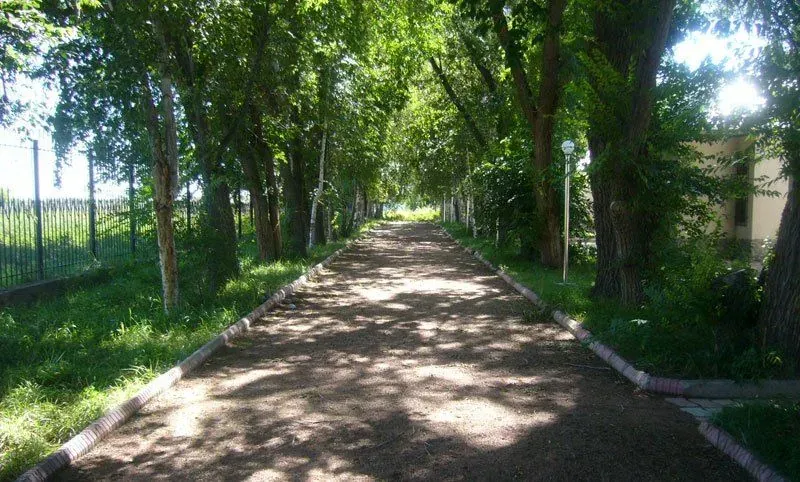 Изображение слайдера