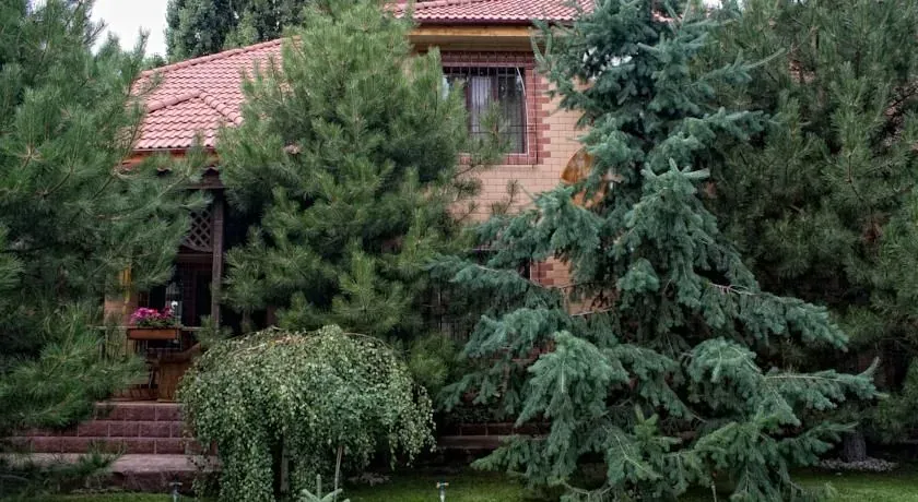 Каждый коттедж утопает в хвойных деревьях