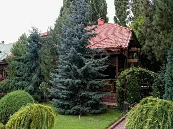 Изображение слайдера