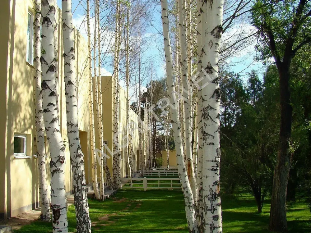 Номера категории "Куб"