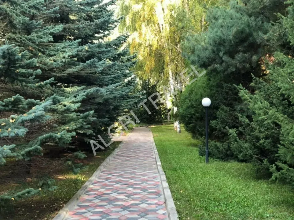 Озелененная территория