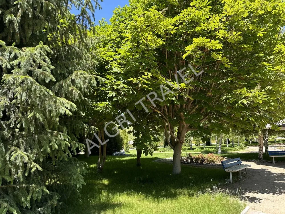 Прогулочные аллеи