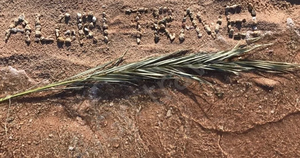 Туры в Египет из Алматы в Августе