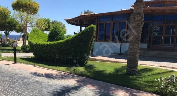 Египет фото территории гостиницы Египет из Алматы февраль