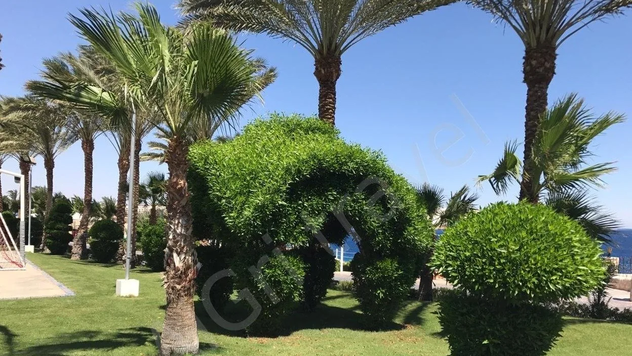 Фото территории гостиниц в Египте Туры в Египет из Алматы в июле