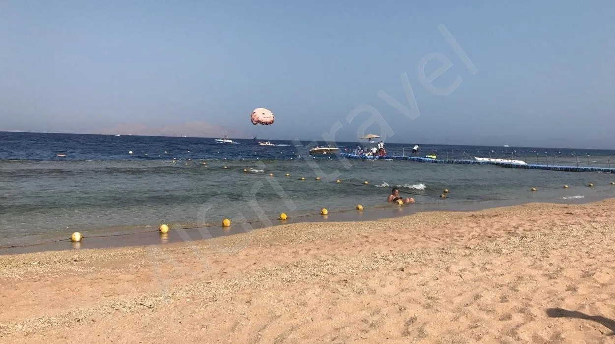 Египет из Алматы октябрь