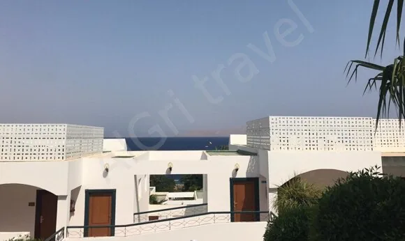 Султан Гарден Египет фото Туры в Египет Январь