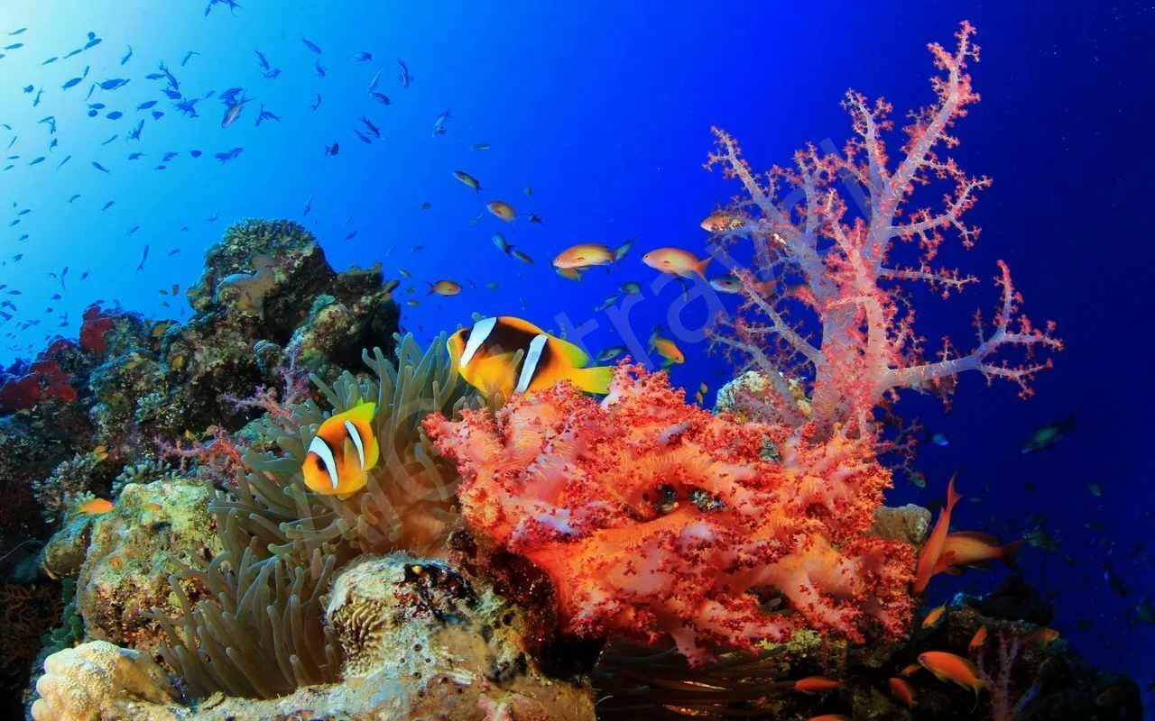 Отдых в Хургаде с вылетом из Алматы